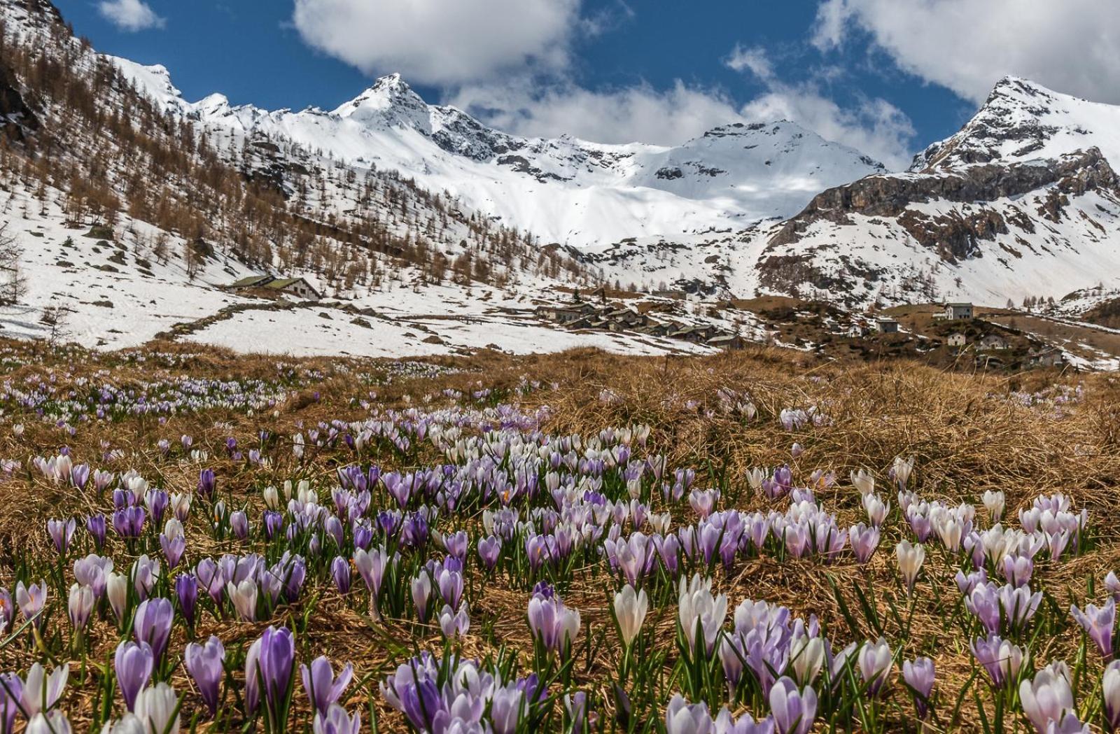 Belcolle, Il Bello Della Tranquillita Chiavenna Eksteriør billede